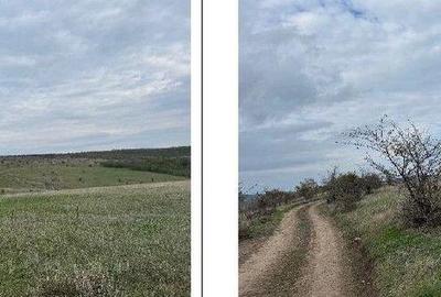 Teren extravilan Perieni, cota parte 6/16 , ID: R2822105 - 2