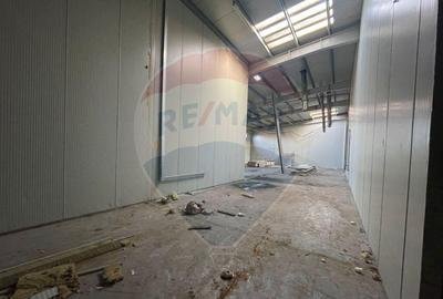 Spa?iu industrial Parc Uta 1 - 2700 mp utili - 7