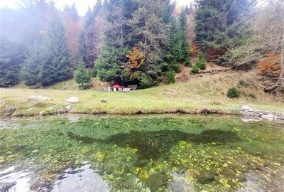 Teren intravilan panoramic 4.600mp,view iconic Piatra Craiului,oportunitate prem - 10