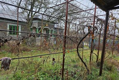 Casă cu 3 camere în Deparați - 2