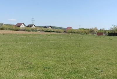 Teren de 7200 mp, în Rediu - 6