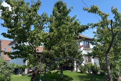 249 mp utili într-o zonă liniștită din Pipera | 4 dormitoare | Fără comision - 16