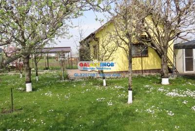 Casă cu 3 camere cu Teren 800 Mp în Central - 8