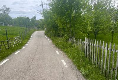 Teren intravilan Sotrile 6762 mp - Investitie, camping, agroturism - 3