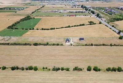 Teren de 440 mp, în Berceni - 3