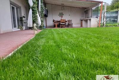 Vanzare casa in Totoi - Santimbru - 3