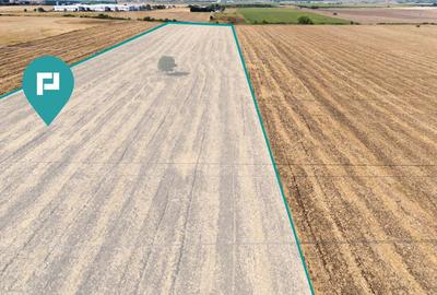 Teren extravilan, zona Freidorf-Șagului, Timișoara Teren extravilan, zona Freidorf-Șagului, Timișoara - 4