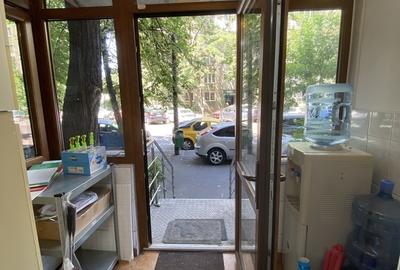 Drumul Taberei, Titel Petrescu stradal spatiu comercial - 1