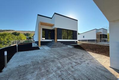 Casa Individuala plan parter - 3