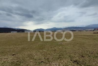 Teren de 11400 mp, în Tălmaciu - 20