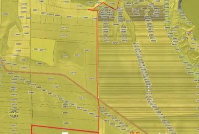 Teren de 70000 mp, în Nufăru - 1