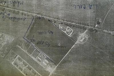 Vind teren la Cernica 45000 mp PUZ Aprobat Complex rezidential paradis - 2