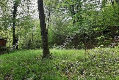 Teren intravilan 800 mp pe Valea Avrigului in apropierea raului Avrig - 1