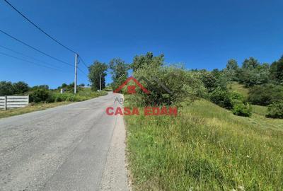 ●Teren intravilan in Breaza 4852mp 17e/mp● - 7