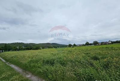 Teren de 1495 mp, în Dobreni - 6