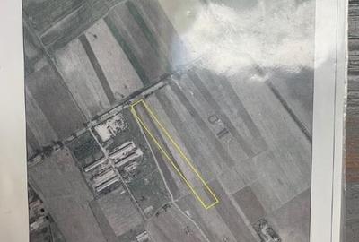 Teren agricol intravilan de 16997 mp, în Nord - 4