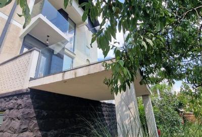 Casă cu 6 camere cu Teren 490 Mp în Săsar - 19