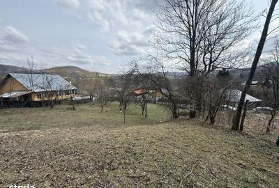 Teren de 6040 mp, în Provița de Jos - 3