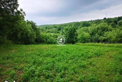 Teren de 2980 mp, în Grajduri - 2