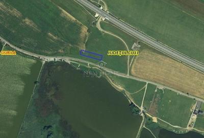 Teren agricol extravilan de 4200 mp, în Ciurila - 3