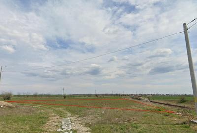 Teren Tanganu, Cernica, Ilfov, 1000mp - 2