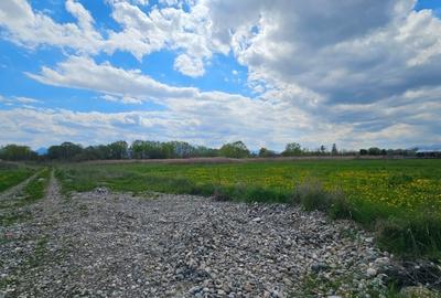 Teren Construcții intravilan de 850 mp, în Stupini - 3