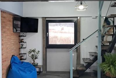 Cabana Casa de vacanta in Bucovina - 1