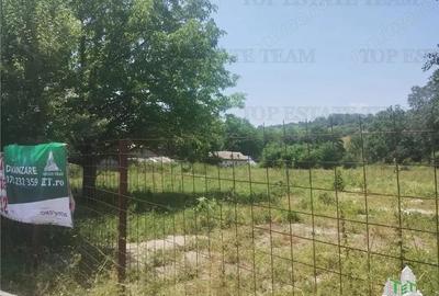 Teren intravilan construibil, excelent potential investitional Campina - 1