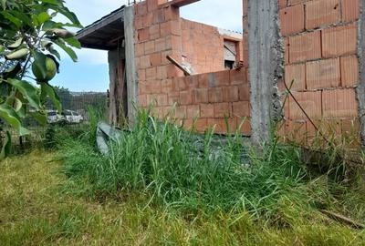 Casă cu 6 camere în Peciu Nou - 1