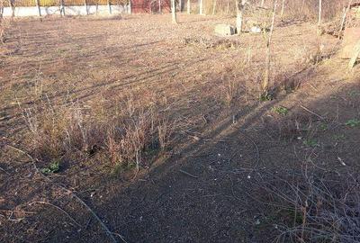 Teren de 1000 mp, în Brănești - 5