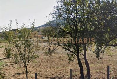 Teren intravilan in Razoare - 3