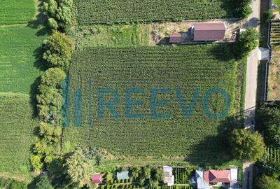 Teren intravilan de vanzare, Sat Bogdan?ti, Com. Traian - 2