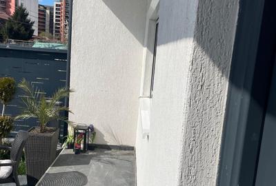 Vand duplex lipovei britis scholl aradului - 5