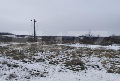 Teren de 2570 mp, în Dumbrava (Ciurea) - 1