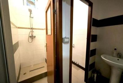 Spațiu comercial, de 110 mp, în Micălaca - 11