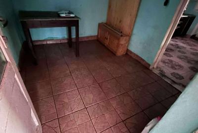 Casă cu 2 camere în Șepreuș - 6