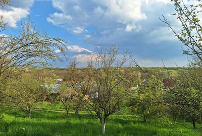 Casă individuală cu 5 camere cu Teren 5950 Mp în Câmpina - 18