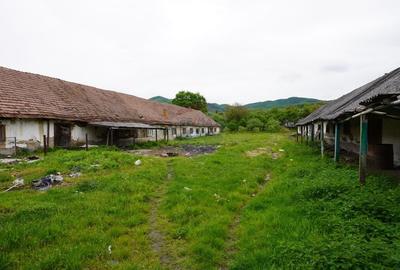 Teren Construcții intravilan de 10941 mp, în Sud-Est - 6