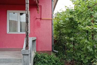 Casă cu 3 camere în Cecălaca - 5