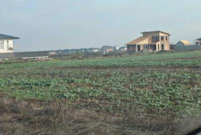 Spațiu comercial, în Vidra - 8