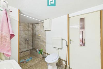 Casă cu 3 camere cu Teren 2100 Mp în Vărădia de Mureș - 10