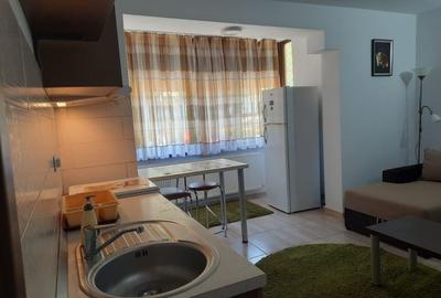 Apartament 2 camere  de inchiriat, zona Dobrogea - 2