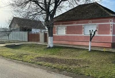 Casă cu Teren 2880 Mp în Central - 3