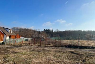 Teren de 1200 mp, în Snagov - 8