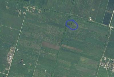 Spațiu comercial, în Moșnița Nouă - 4