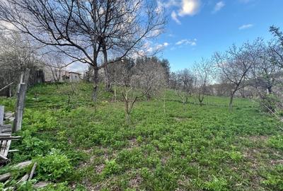 Casă individuală cu 4 camere cu Teren 1037 Mp în Câmpuri - 10