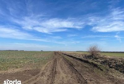 Teren de 5000 mp, în Dor Mărunt - 5
