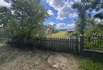 Teren de 2900 mp, în Lipoveni - 7