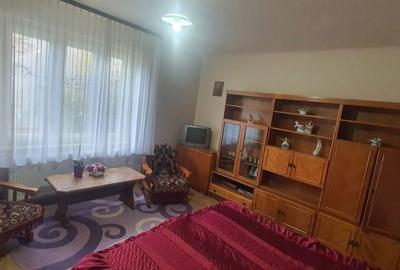 Casă cu 2 camere în Lotrioara - 6
