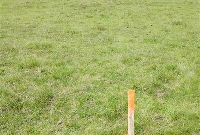 FILM! Teren intravilan cu suprafata de 872 mp, Harman, Brasov - 11